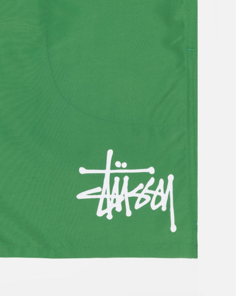 Green Stussy Water Short Big Basic Men's Shorts Jakarta | Indonesia XGL-4358