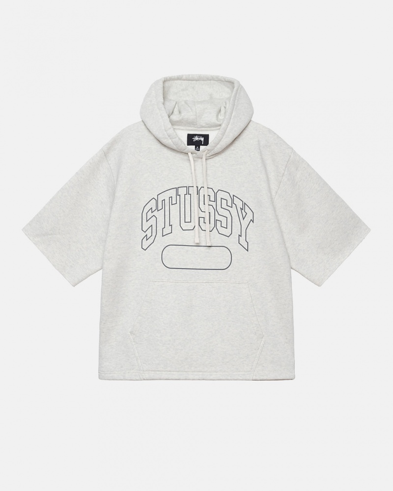 Grey Stussy Ss Boxy Cropped Hoodie Men\'s Hoodie Jakarta | Indonesia FLU-0922