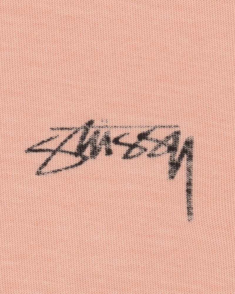 Light Pink Stussy Lazy Ls Tee Men's Tees Jakarta | Indonesia LQS-1904