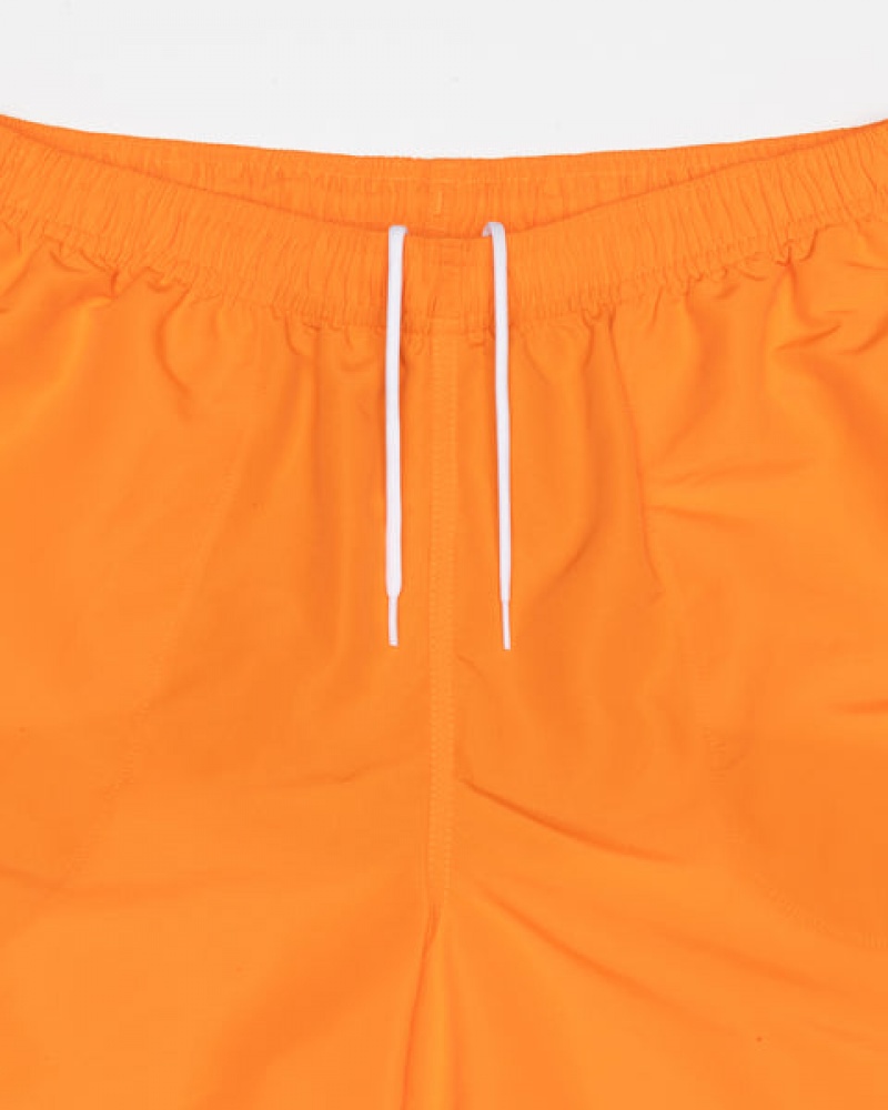 Orange Stussy Water Short Big Basic Men's Shorts Jakarta | Indonesia YPM-2830